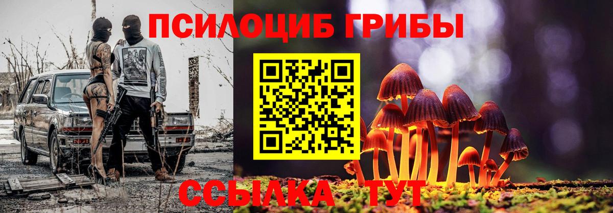 Сызрань  где продают   Галлюциногенные грибы Psilocybine cubensis  Вход с VPN  Псилоцибиновые грибы мухоморы 